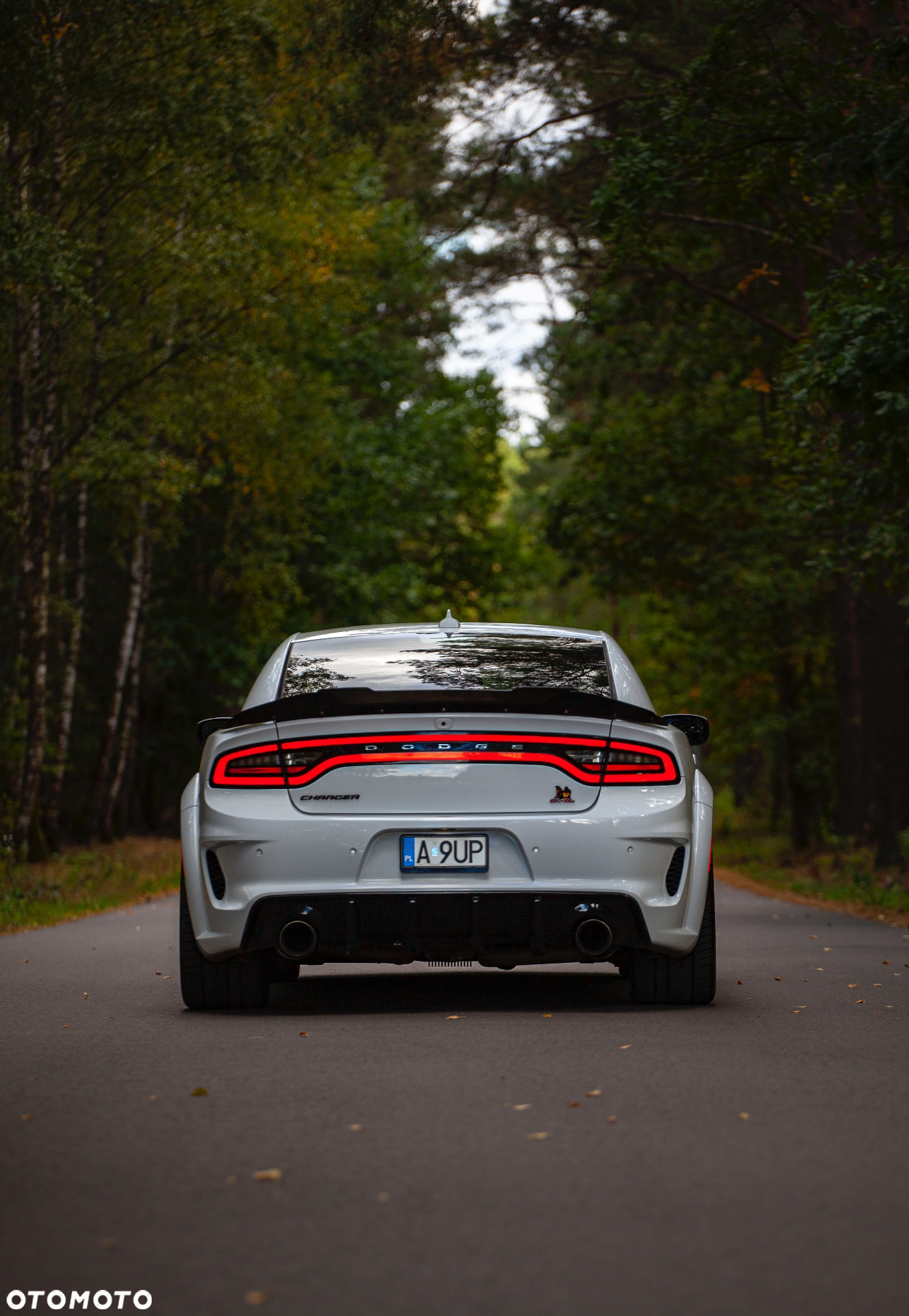 Dodge Charger 6.4 Scat Pack Widebody - 5
