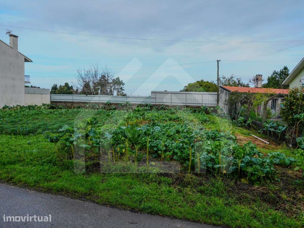 Terreno em Arazede - Grande imagem: 3/6