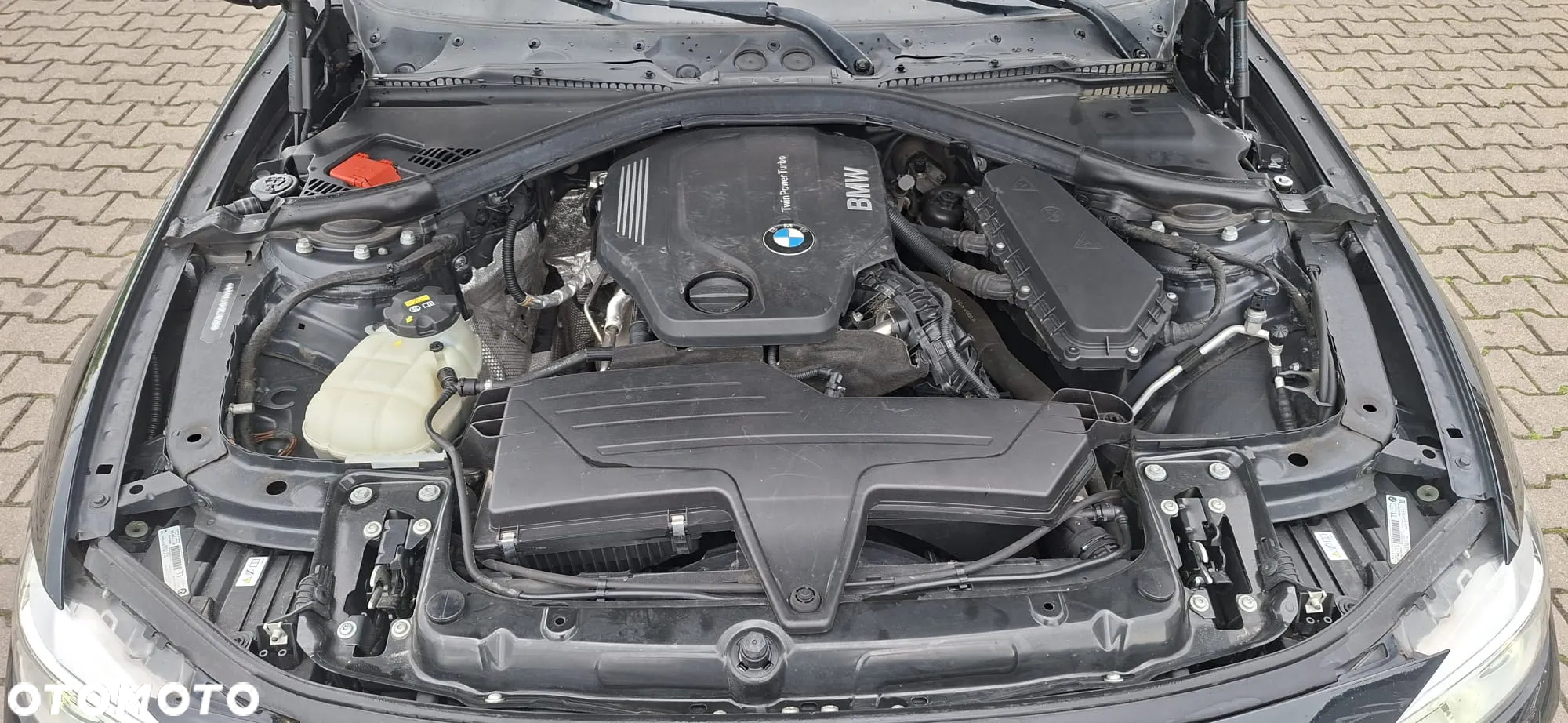 BMW Seria 3 316d Sport Line - 37