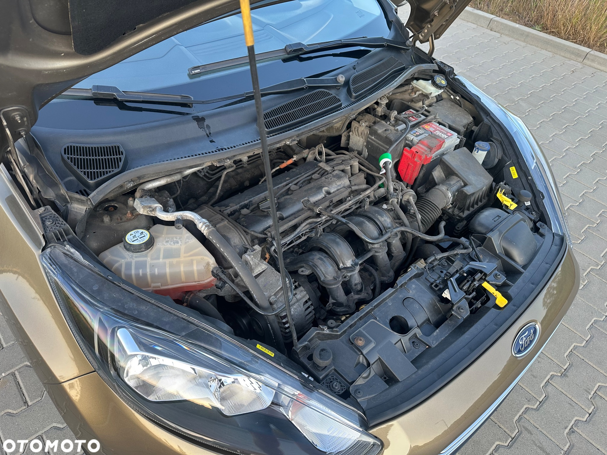 Ford Fiesta 1.25 Ambiente - 12