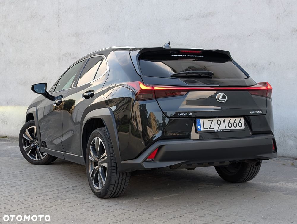Lexus UX 250h GPF Business 2WD - 4