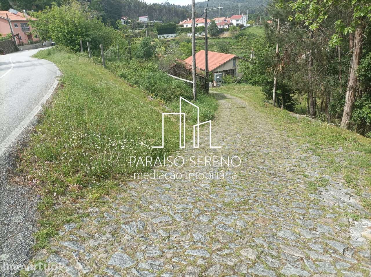 Moradia Junqueira - Grande imagem: 5/11