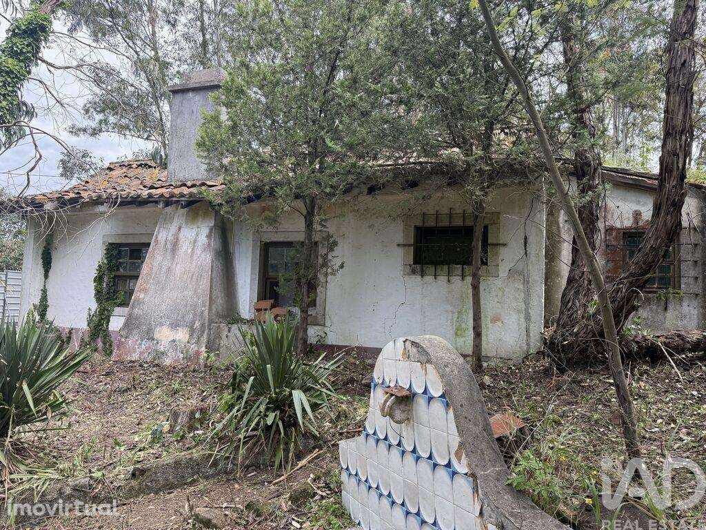 Terreno em Sesimbra (Castelo) - Grande imagem: 4/17