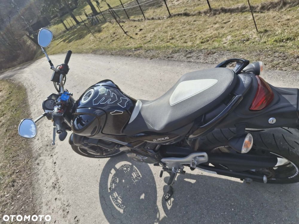 Suzuki Gladius - 12