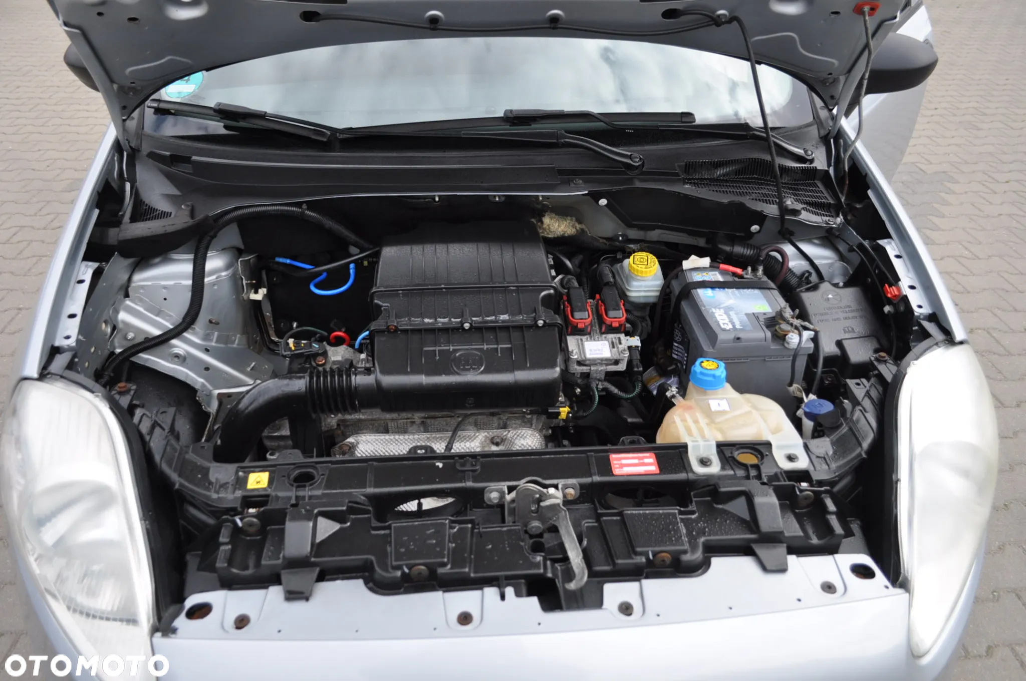 Fiat Punto 1.2 Easy - 25