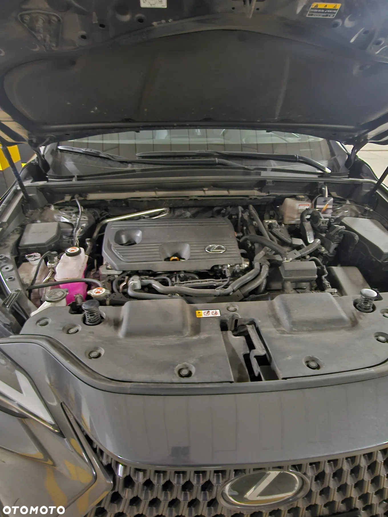 Lexus NX 350h Prestige 2WD - 7