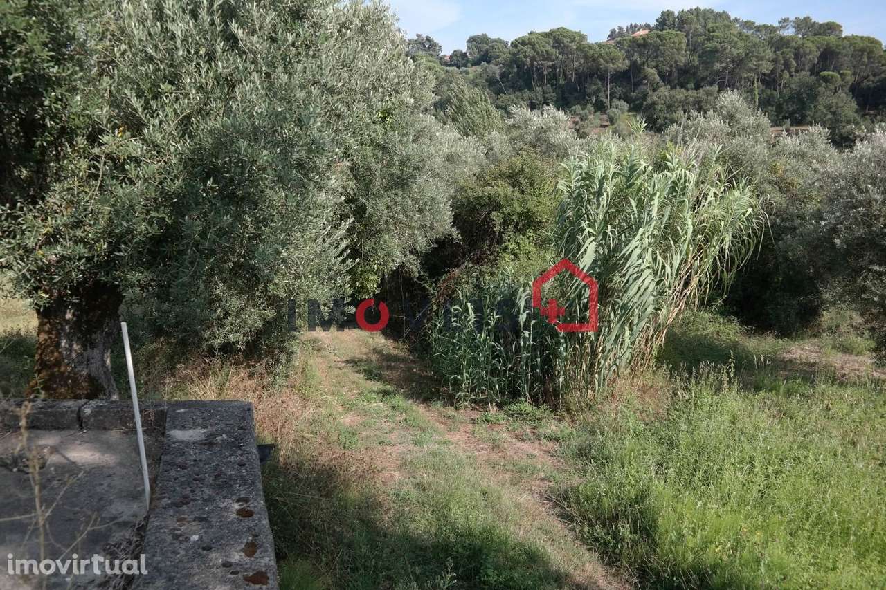 Terreno - Grande imagem: 2/2