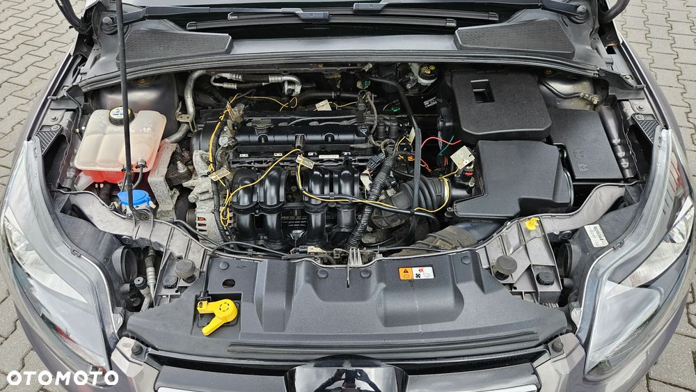 Ford Focus - 7