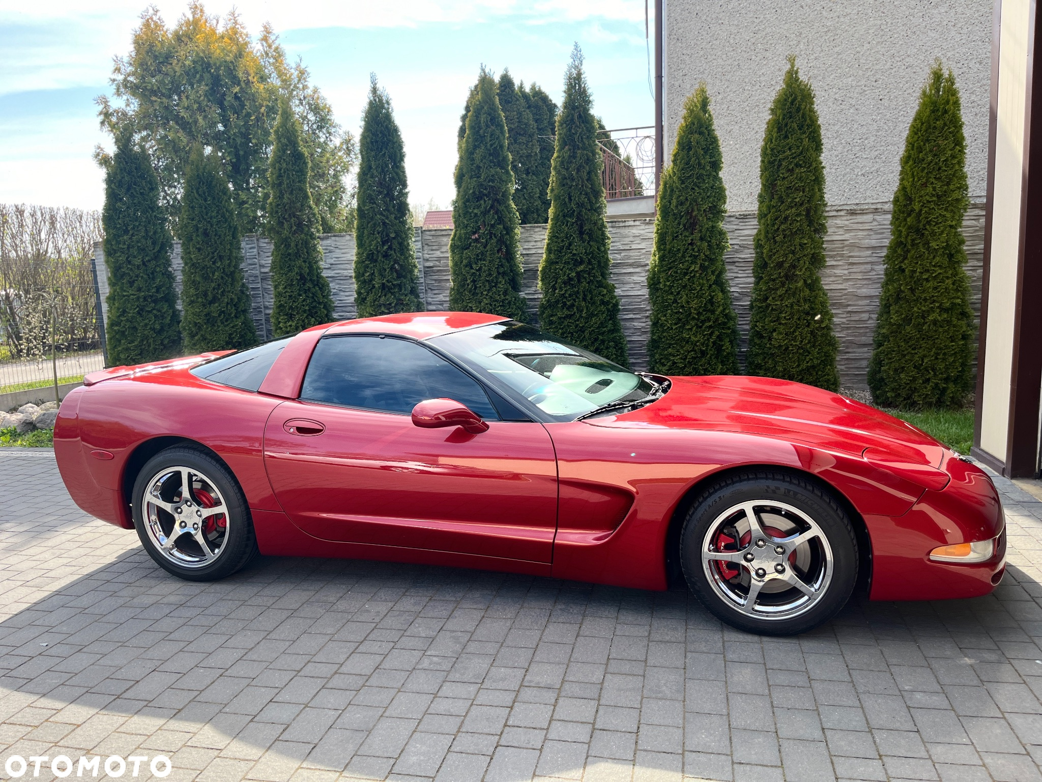 Chevrolet Corvette - 22