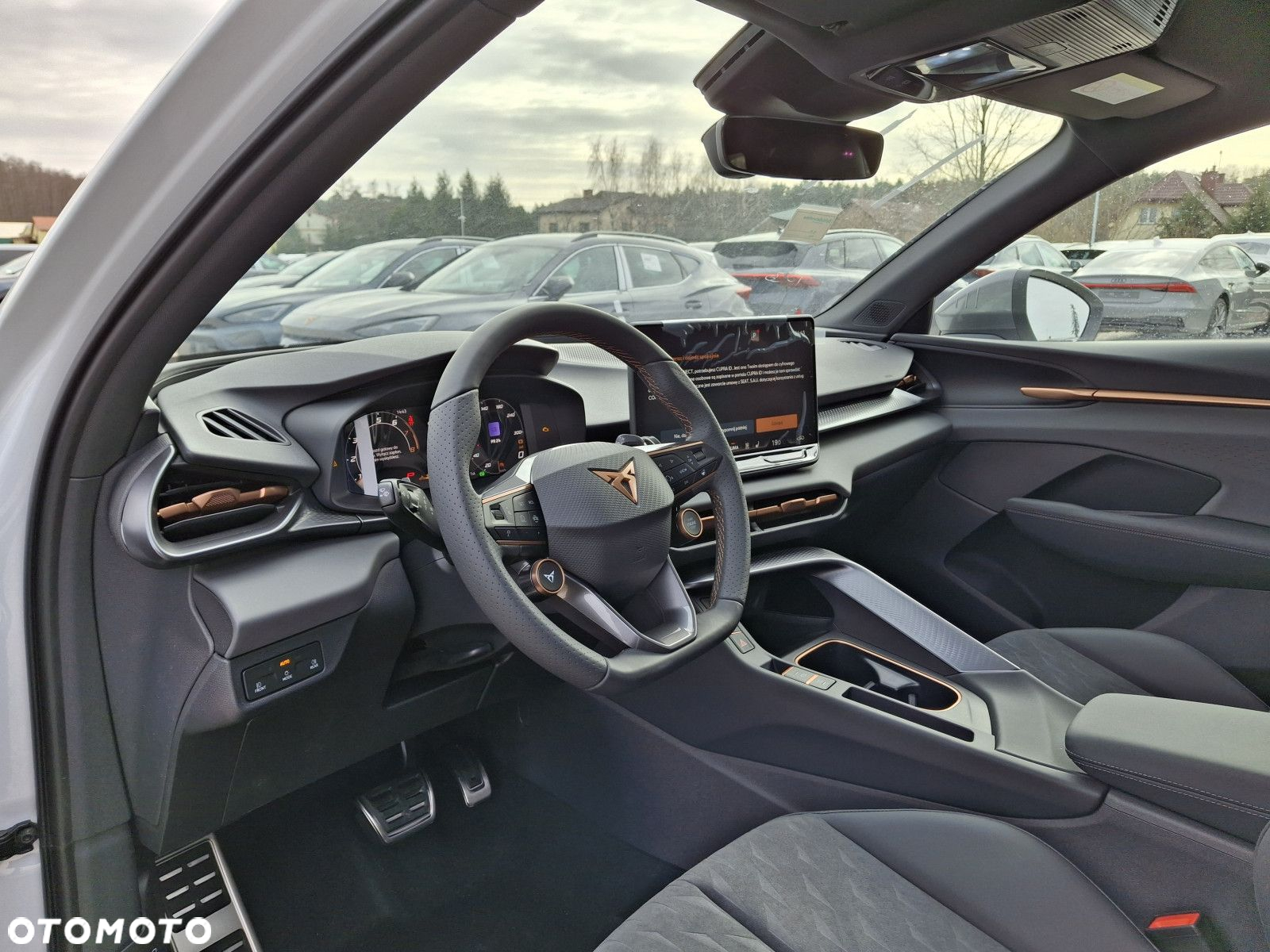 Cupra Terramar - 10