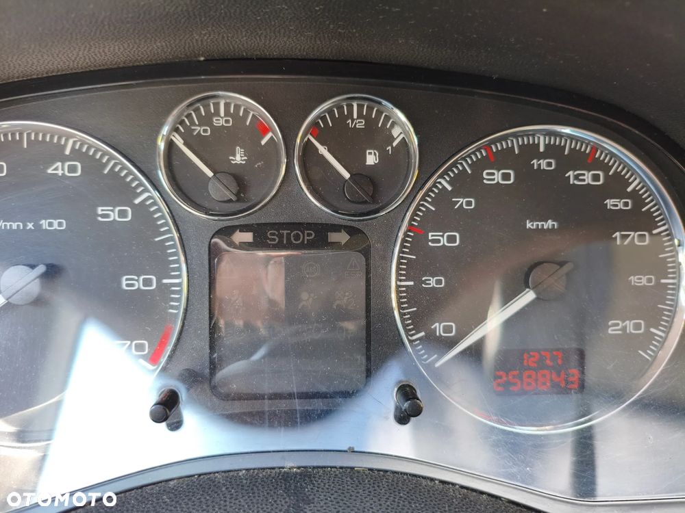 Peugeot 307 1.6 - 19