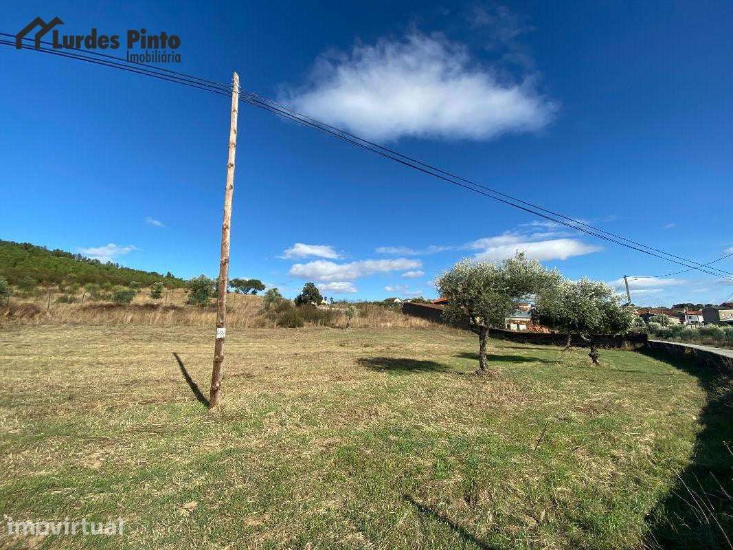 Terreno Agrícola em Palvarinho - Grande imagem: 5/7