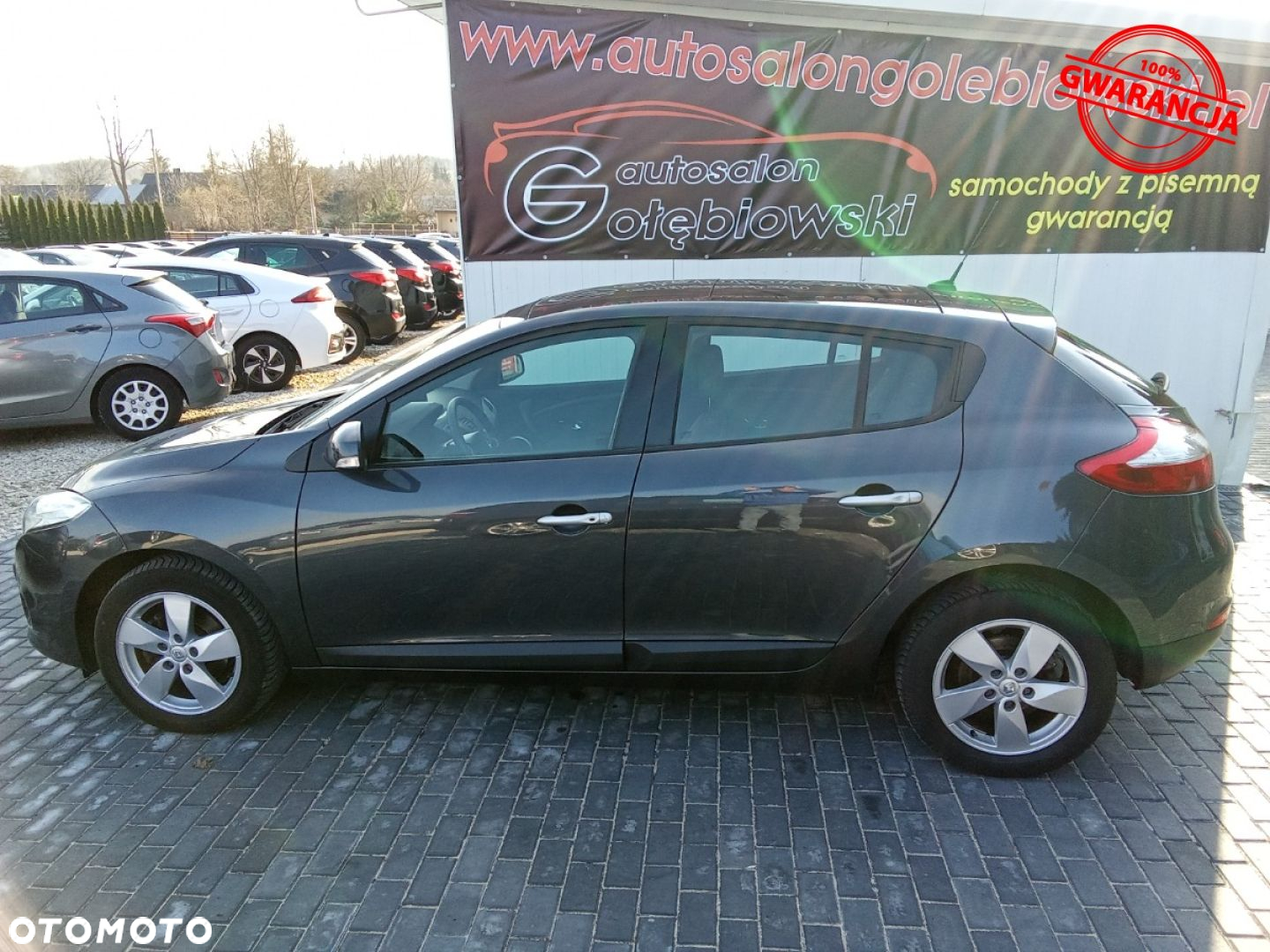 Renault Megane - 14