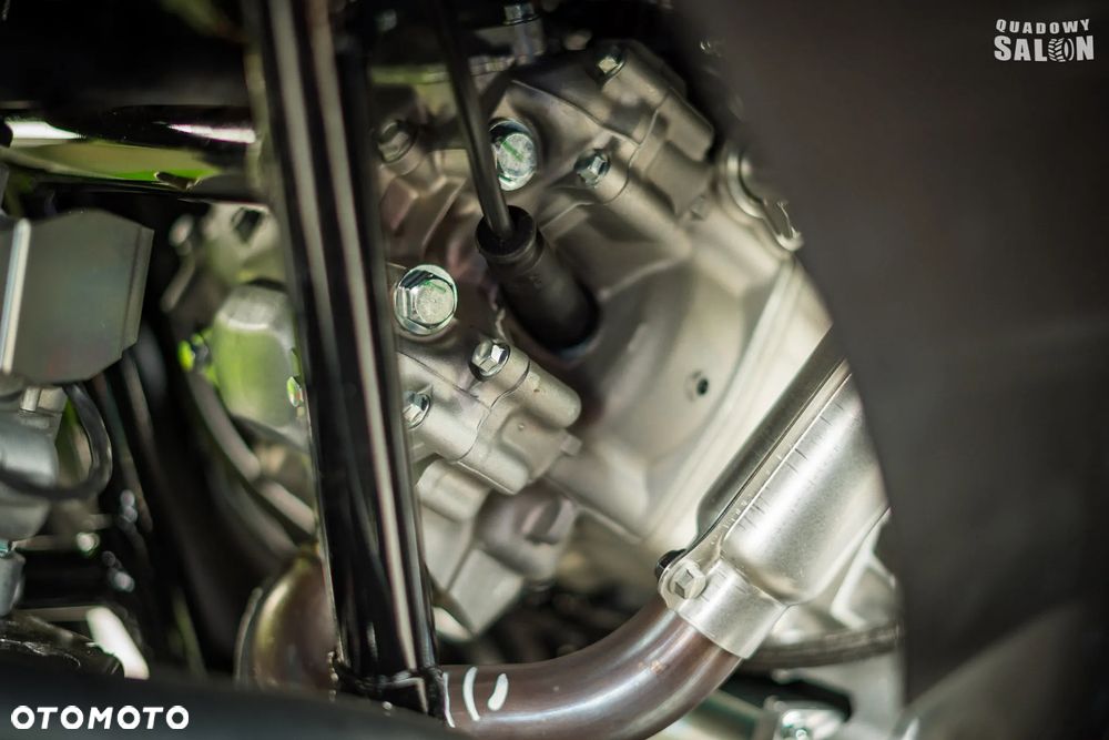 Kawasaki Brute Force - 21