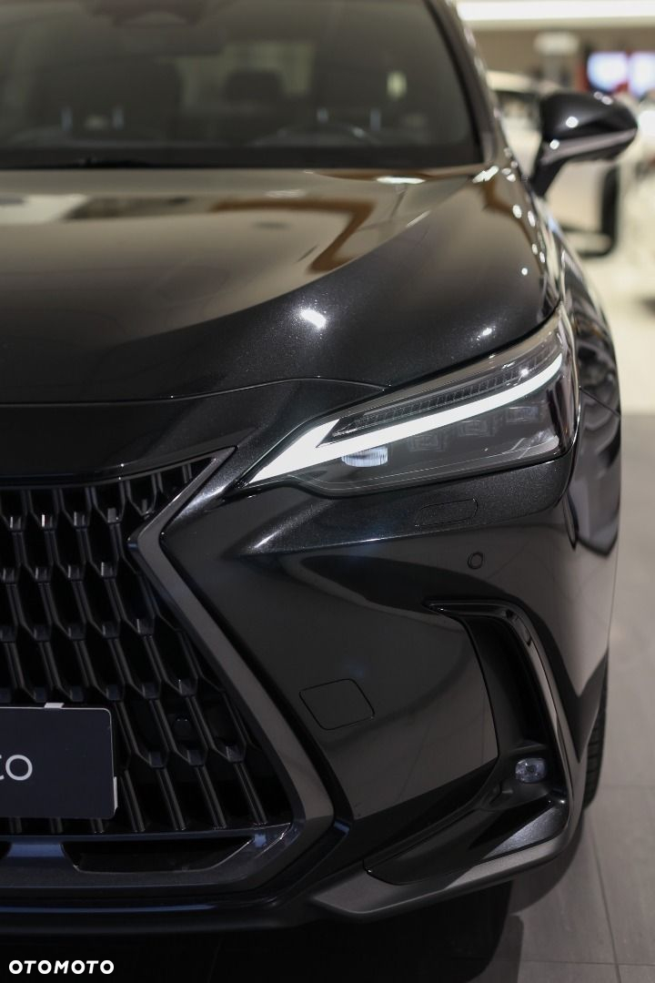 Lexus NX - 23