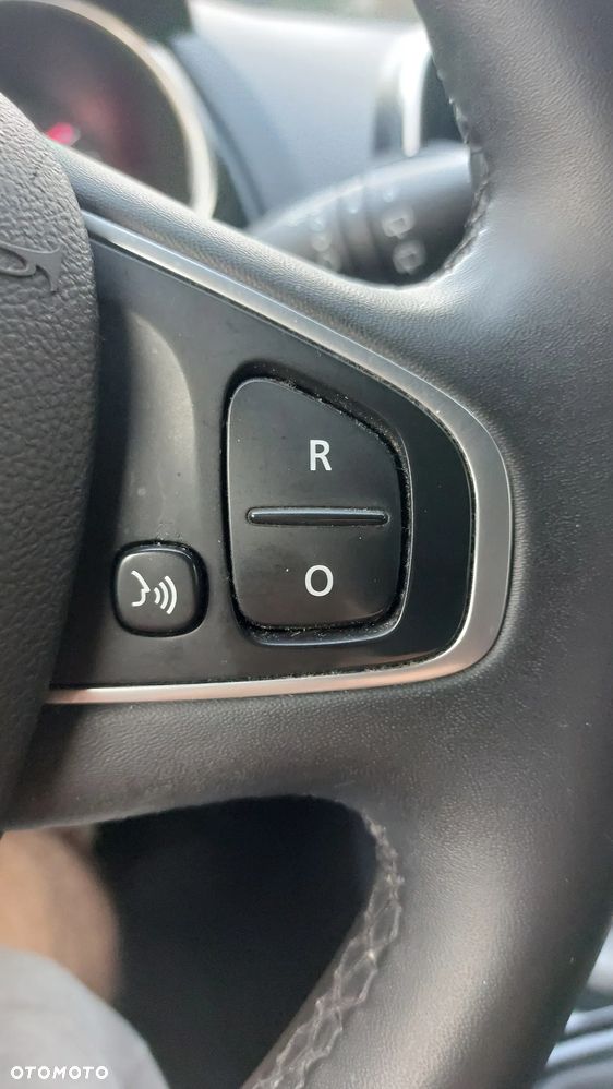 Renault Clio - 14
