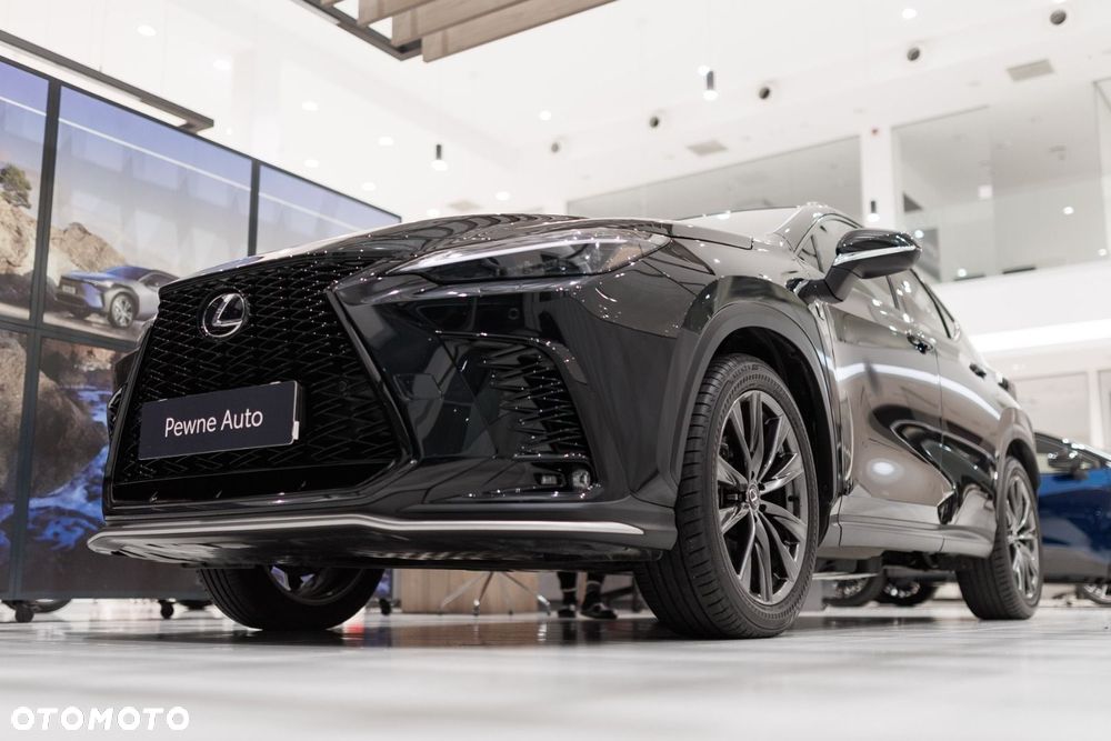 Lexus NX - 18
