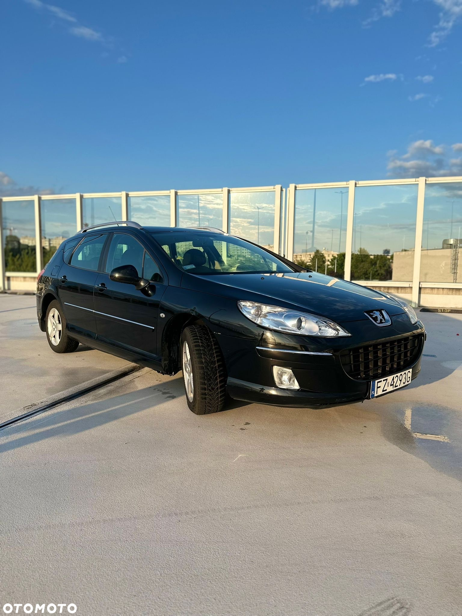 Peugeot 407 - 14