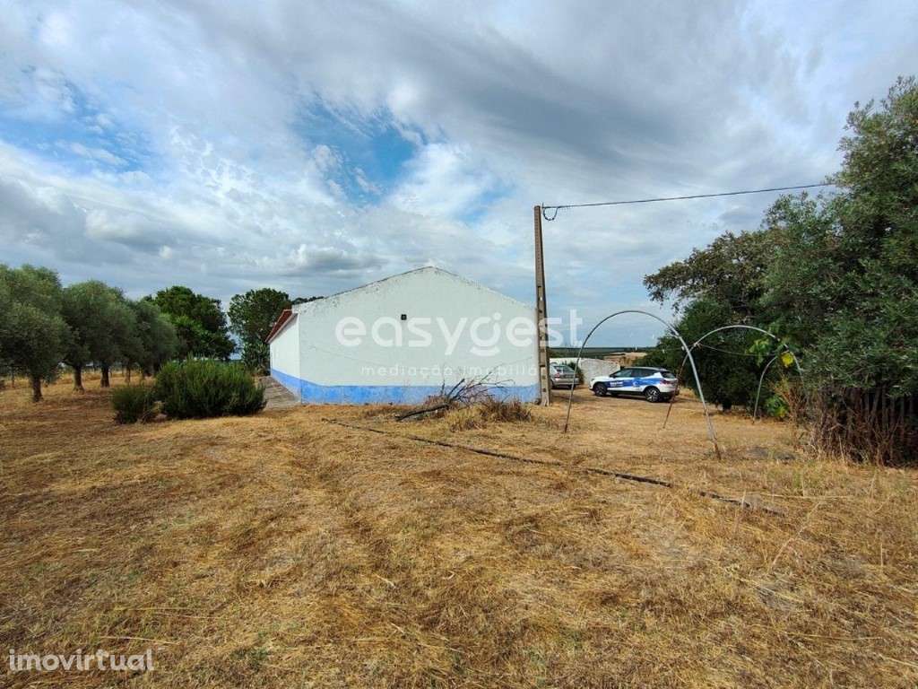 Monte Alentejano T2 com 50.189 m2 a poucos Kms da cidade de Beja - Grande imagem: 4/25