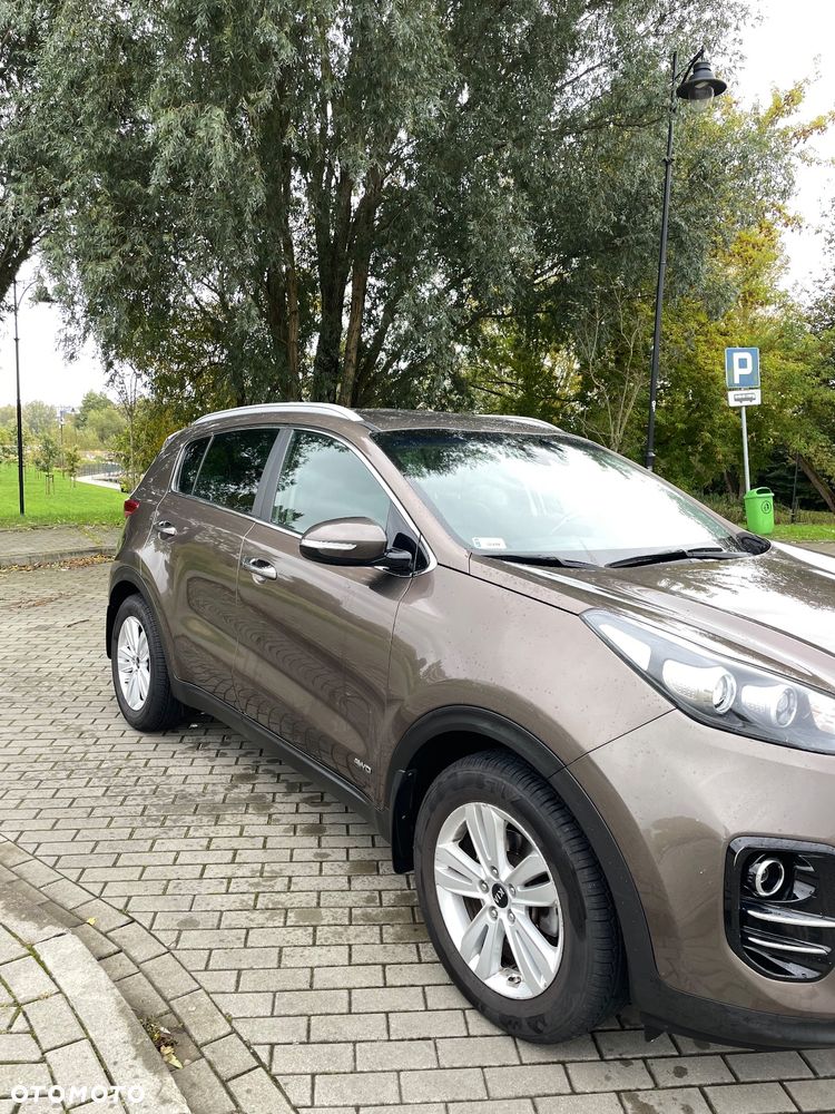 Kia Sportage 1.6 T-GDI Business Line 4WD DCT - 2