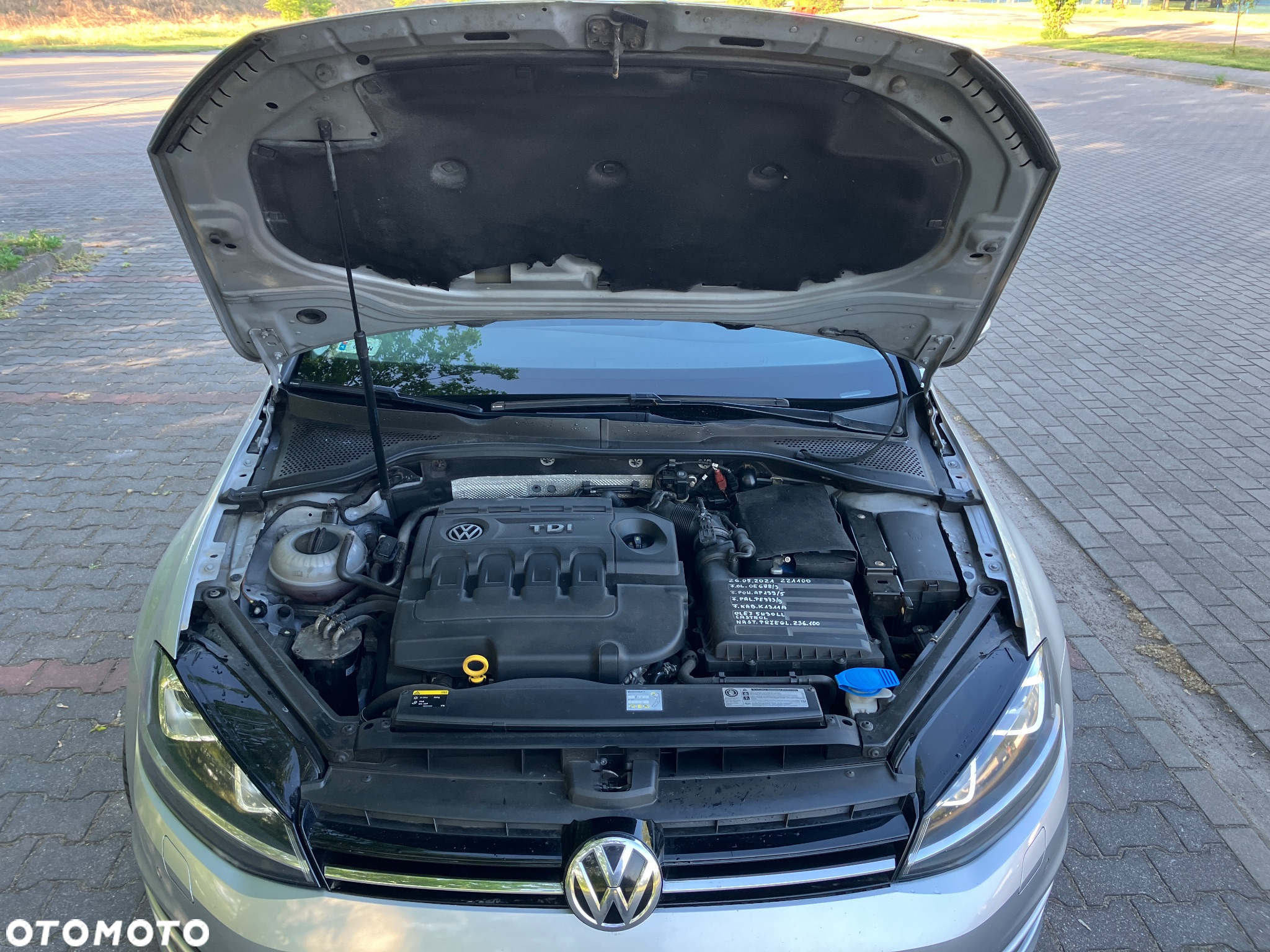Volkswagen Golf - 19
