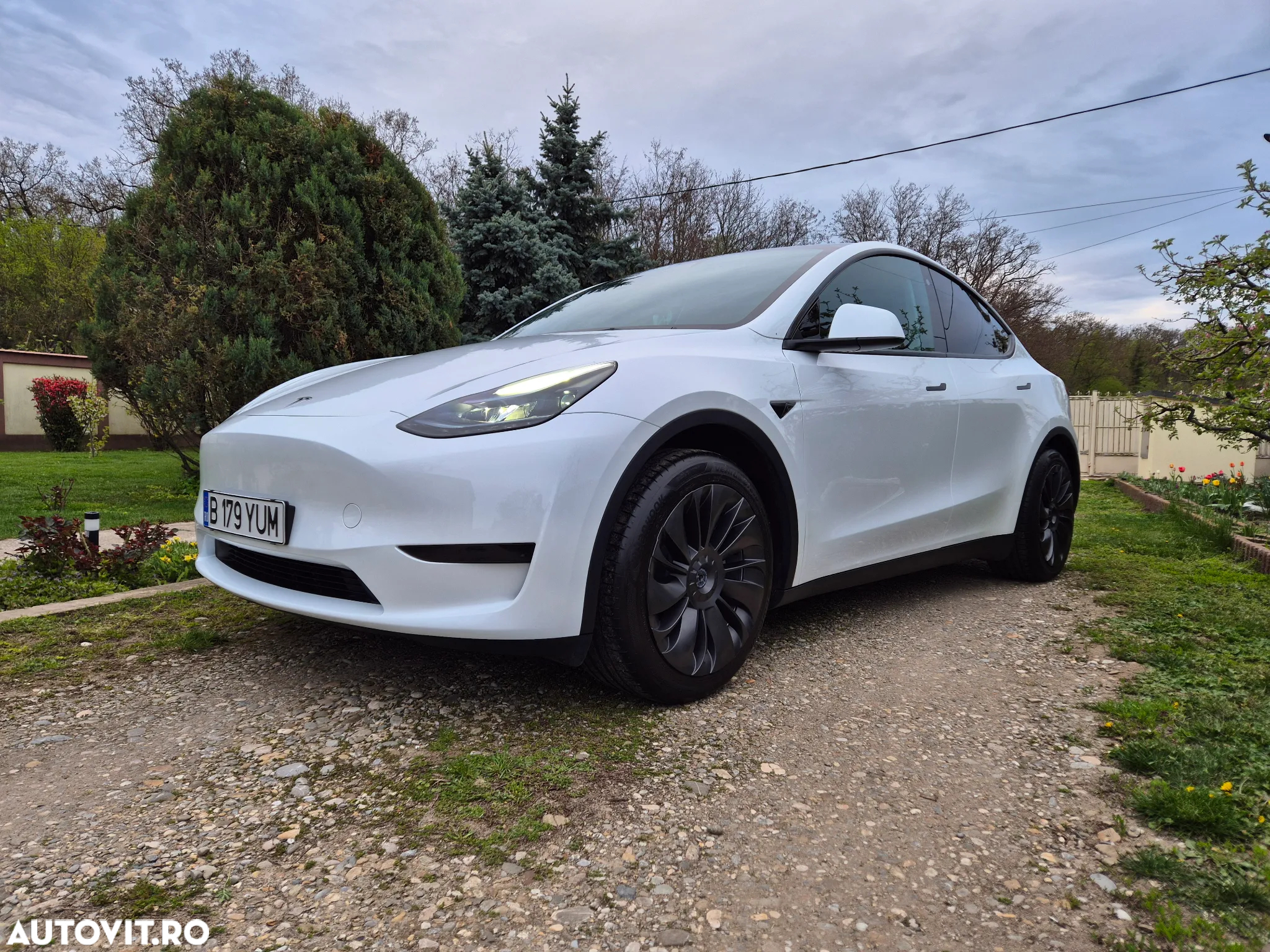 Tesla Model Y - 3