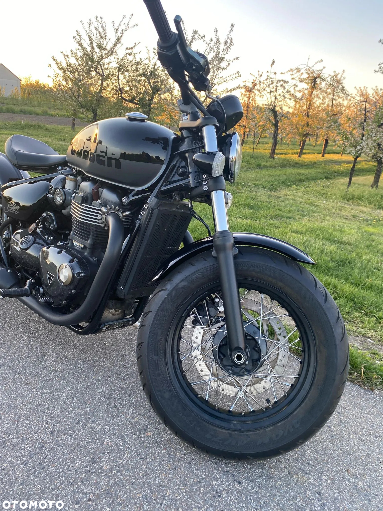 Triumph Bonneville Bobber - 16