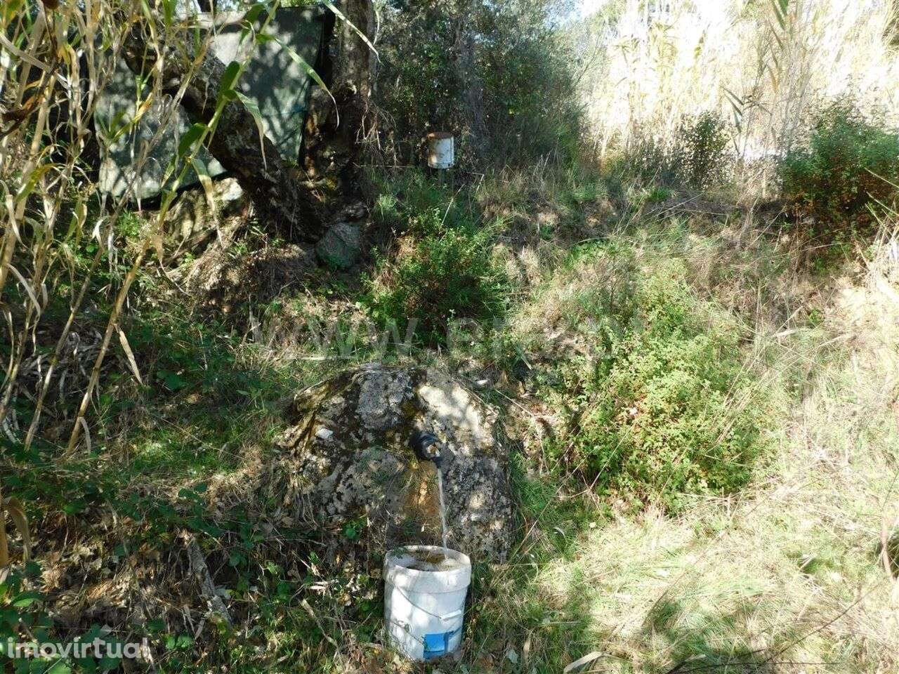 Terreno Rústico / Fundão, Pêro Viseu - Grande imagem: 5/8