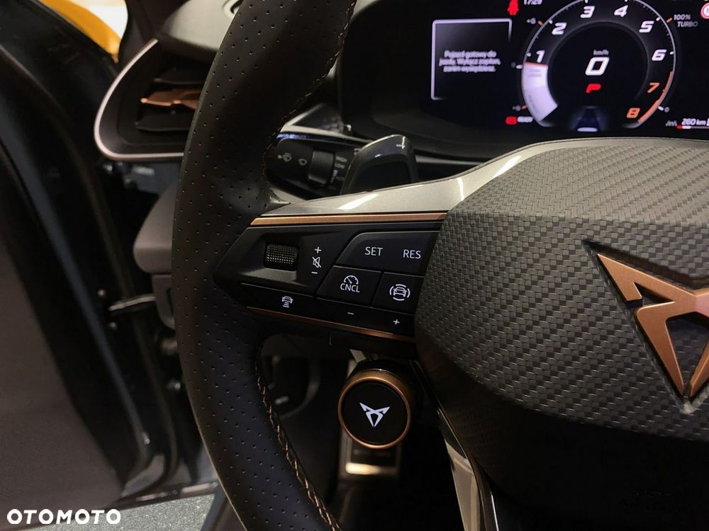 Cupra Terramar - 24