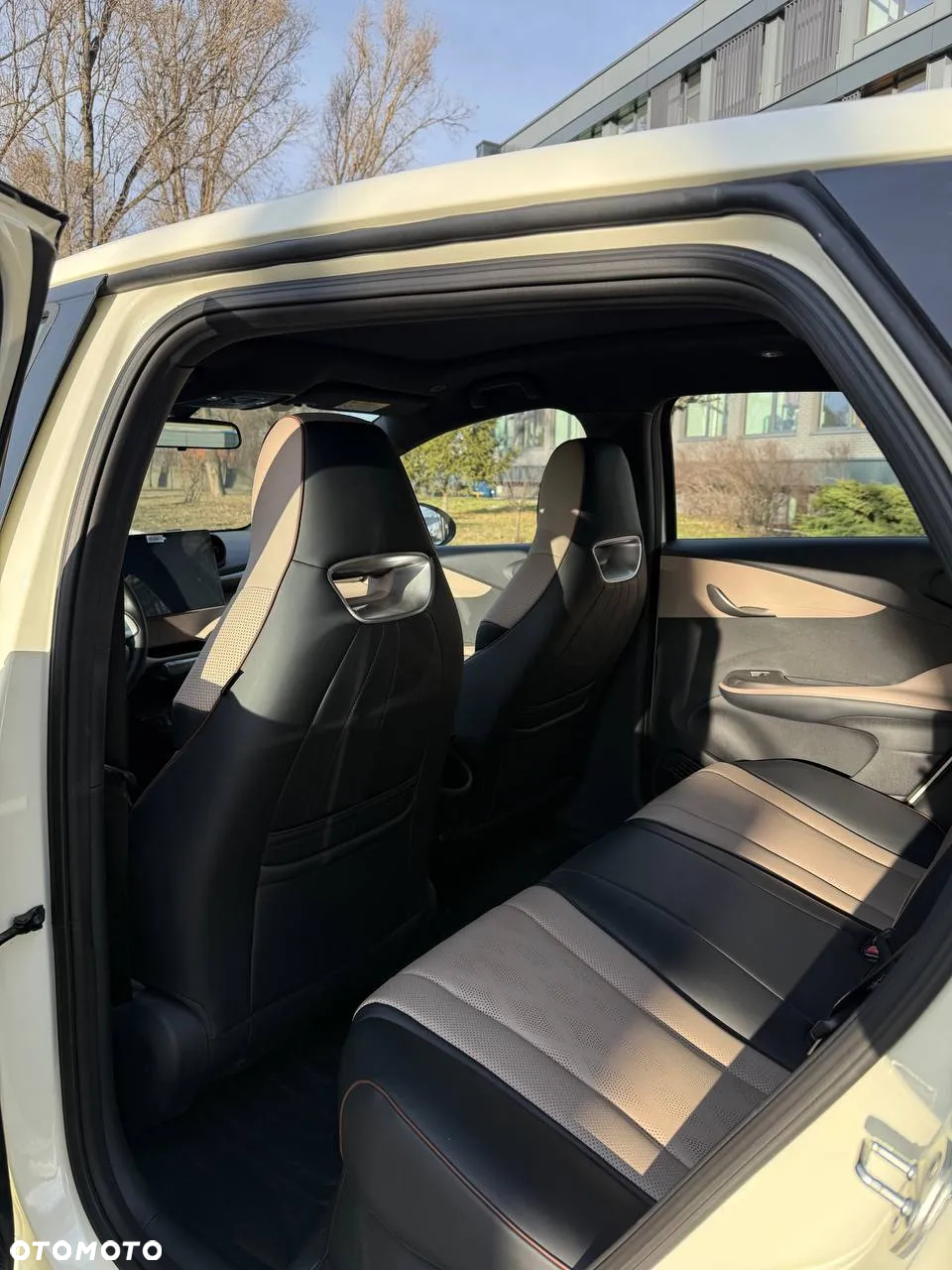 BYD Dolphin Active - 15