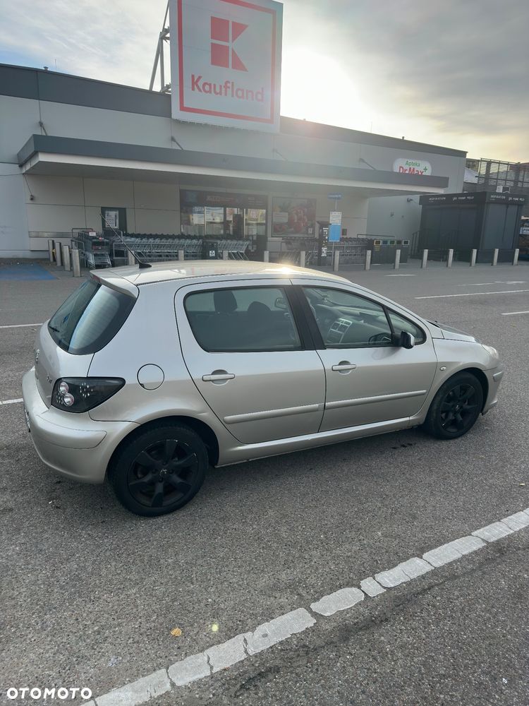 Peugeot 307 2005 photo 4