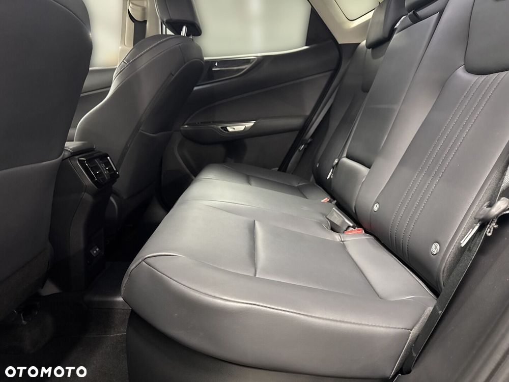 Lexus NX - 12
