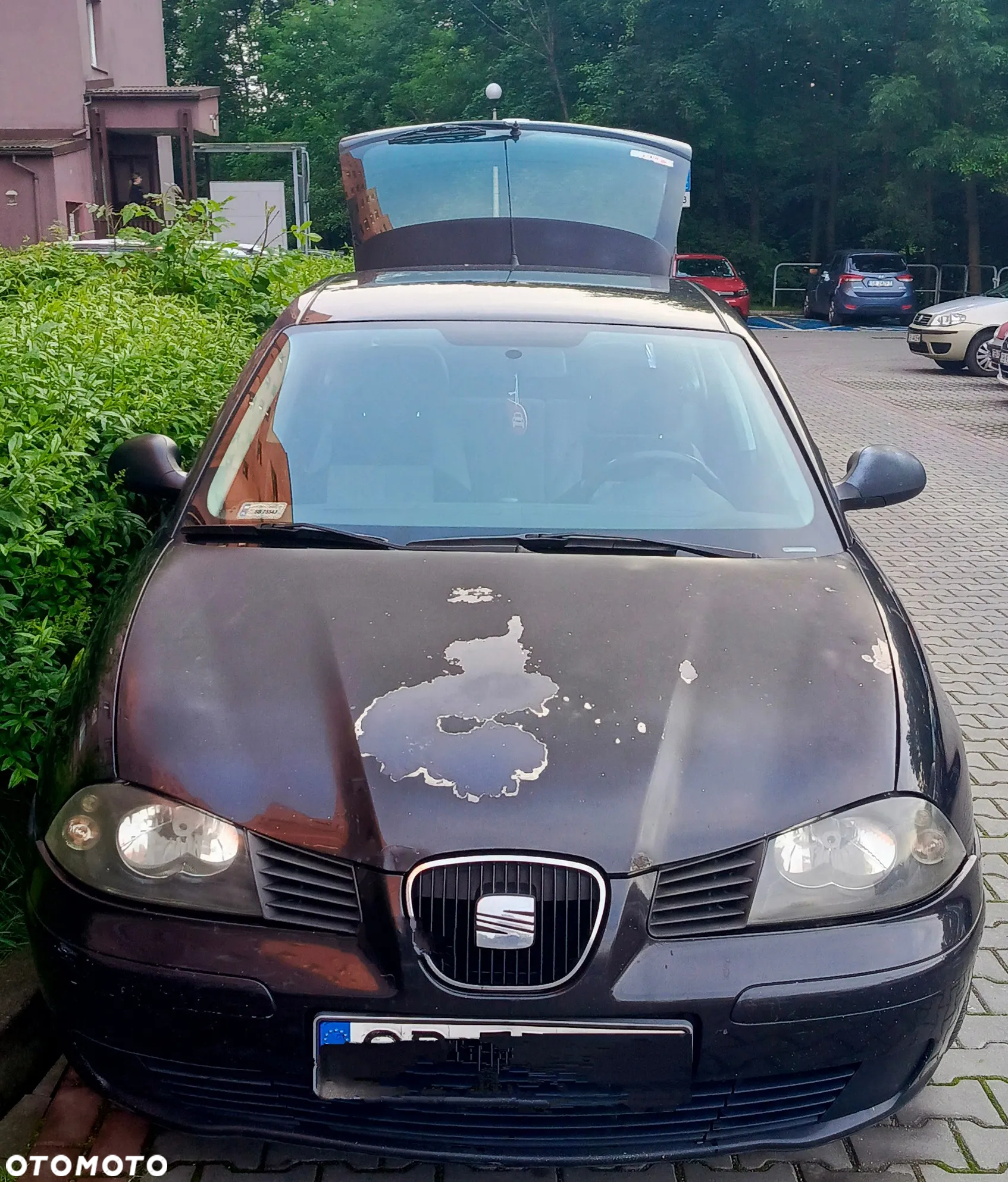 Seat Ibiza 1.2 12V Stella - 2