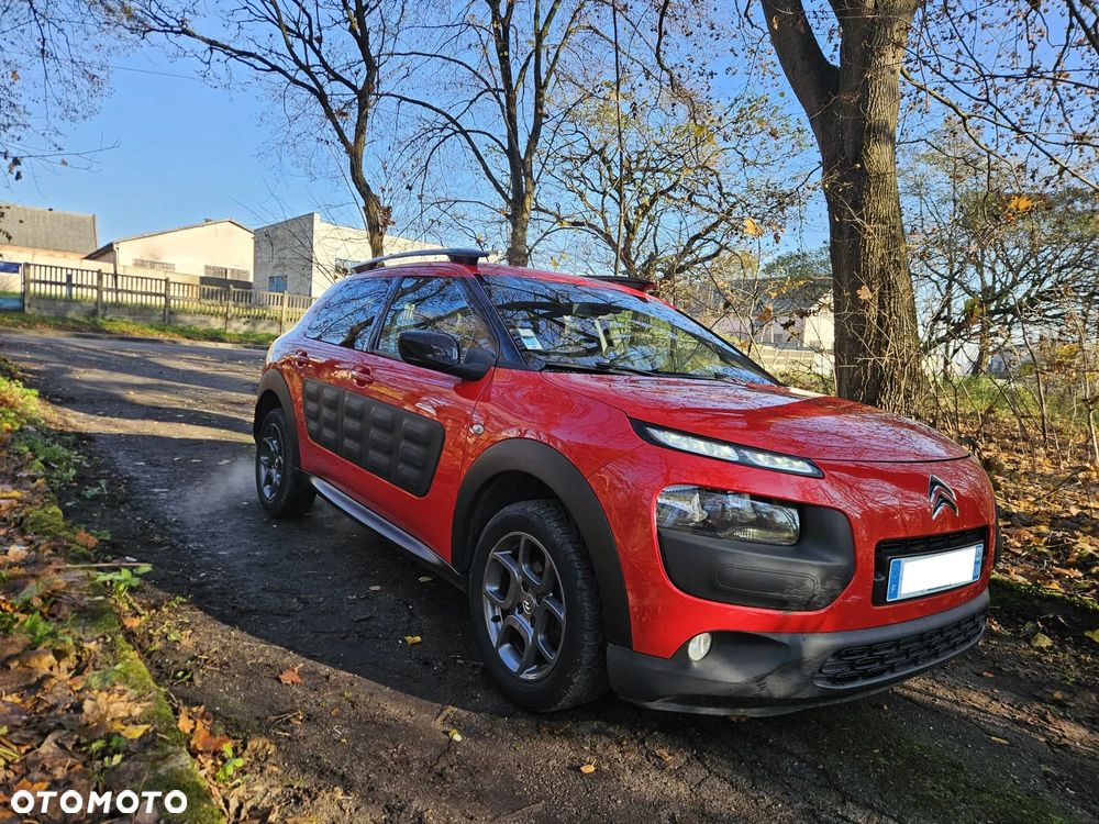 Citroën C4 Cactus PureTech 82 Business Class - 1