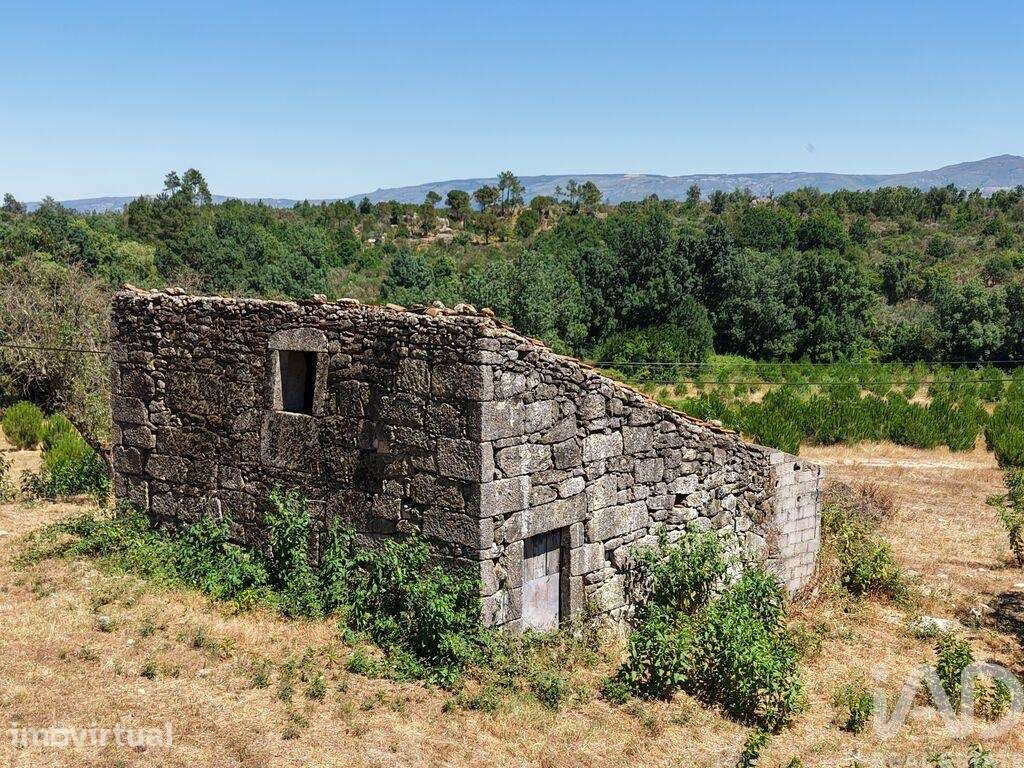 Terreno em Abrunhosa-a-Velha - Grande imagem: 4/13