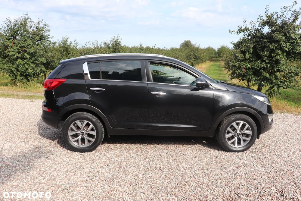 Kia Sportage 1.6 GDI Business Line L 2WD - 7