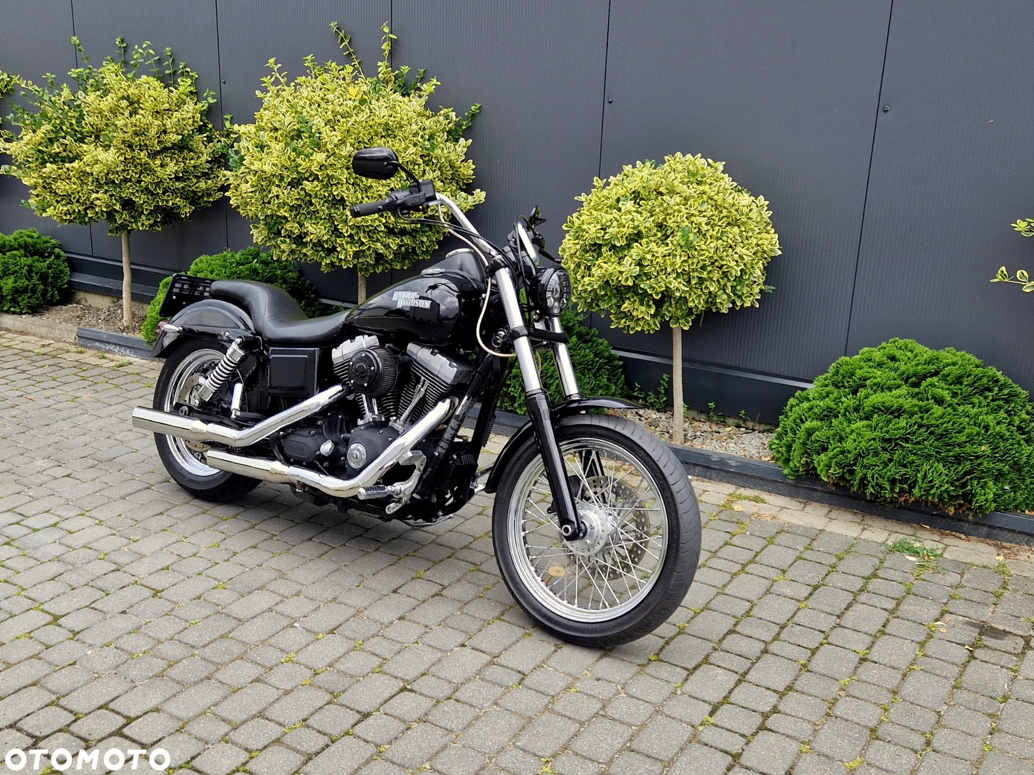 Harley-Davidson Dyna Street Bob - 2