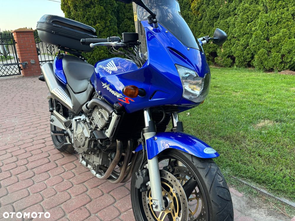 Honda Hornet - 13