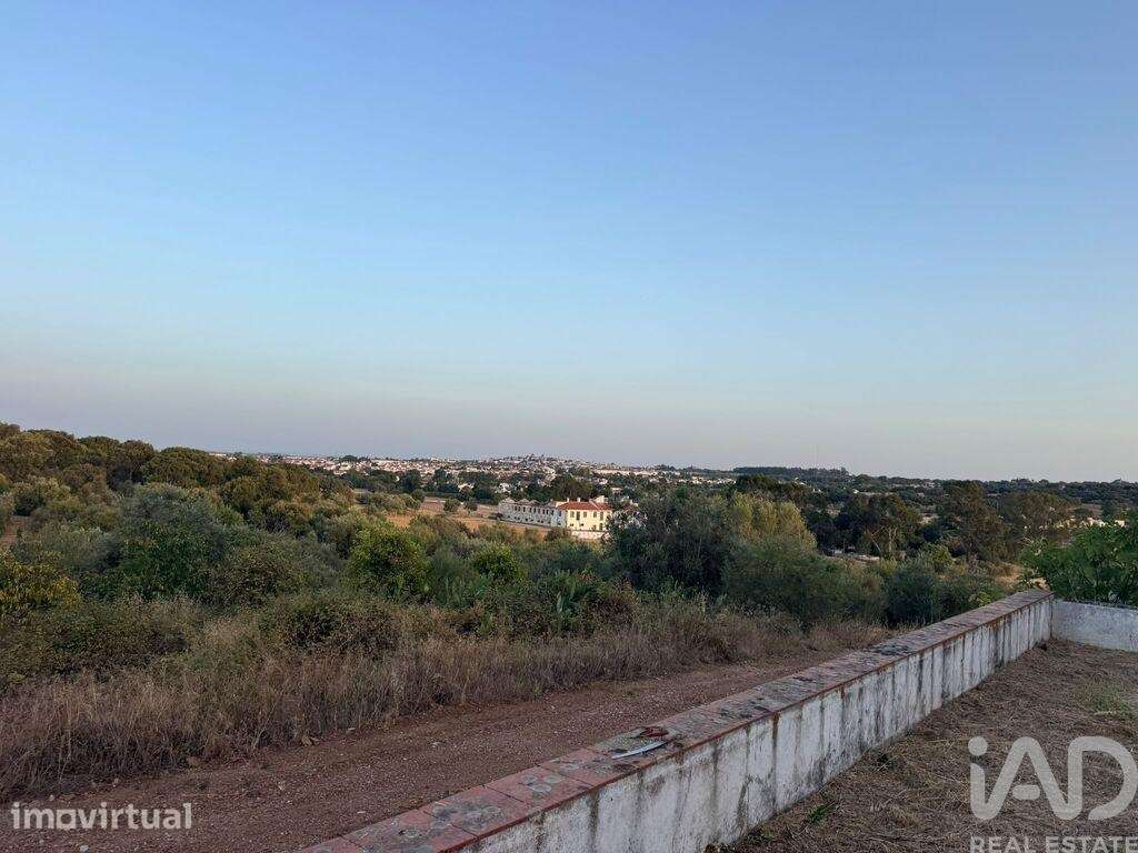 Quinta em Bacelo e Senhora da Saúde de 385 m2 - Grande imagem: 2/17