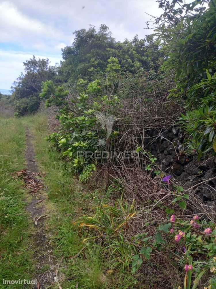 Terreno Urbanizável no Porto Martins - Grande imagem: 3/10