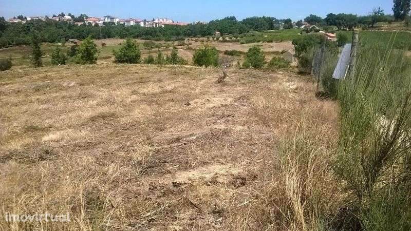 TERRENO rústico em Gramaços - Oliveira do Hospital, com 1 hectare. - Grande imagem: 3/12