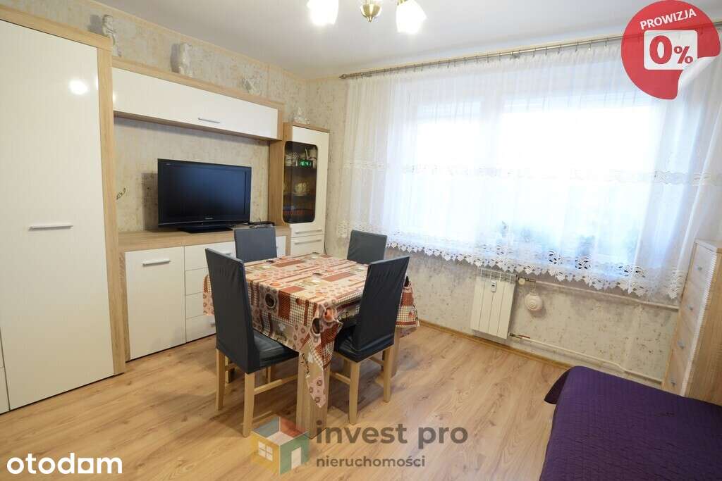 Słoneczne dwa pokoje przy Kochanowskiego