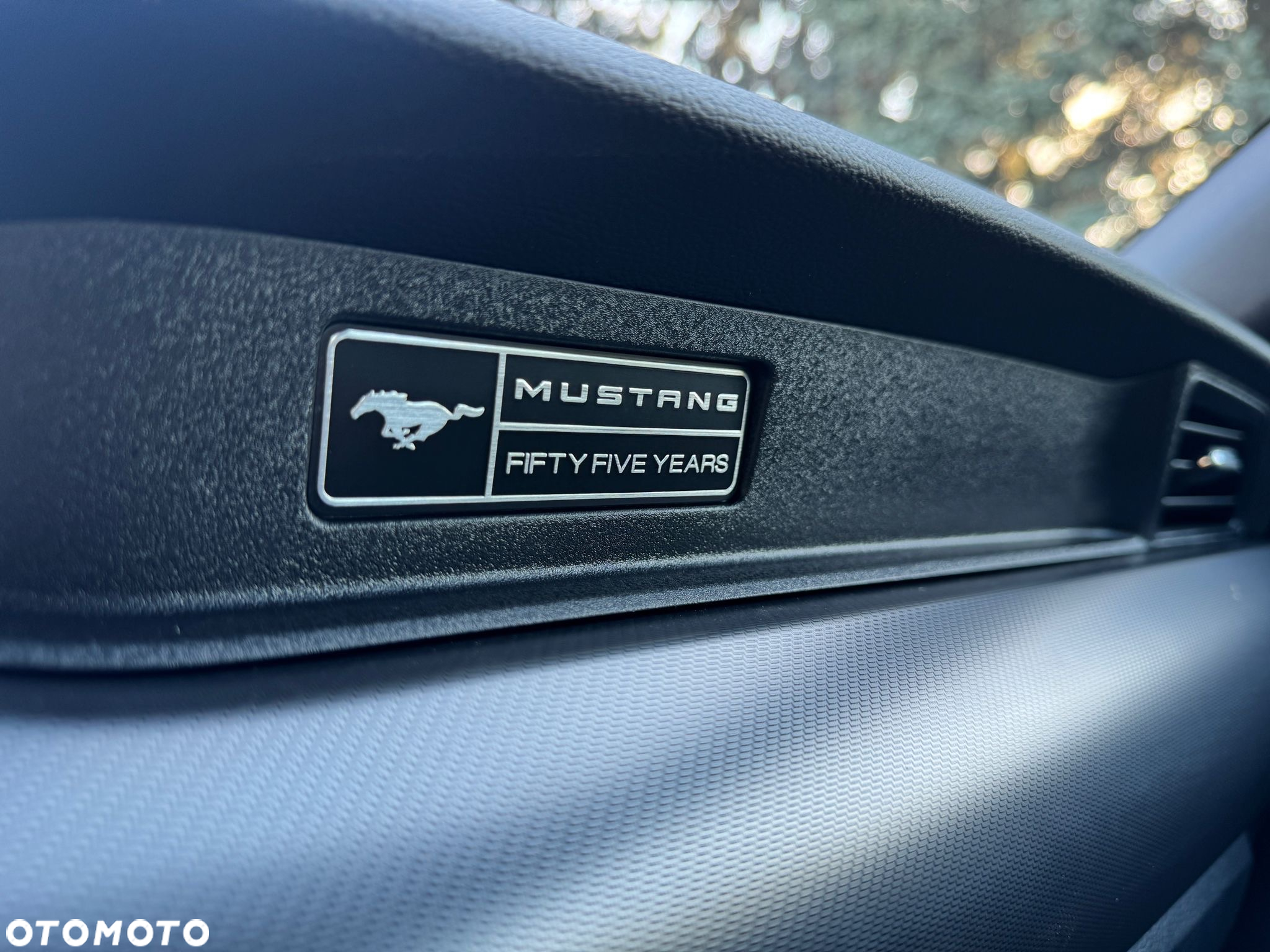 Ford Mustang Fastback 5.0 Ti-VCT V8 GT - 20