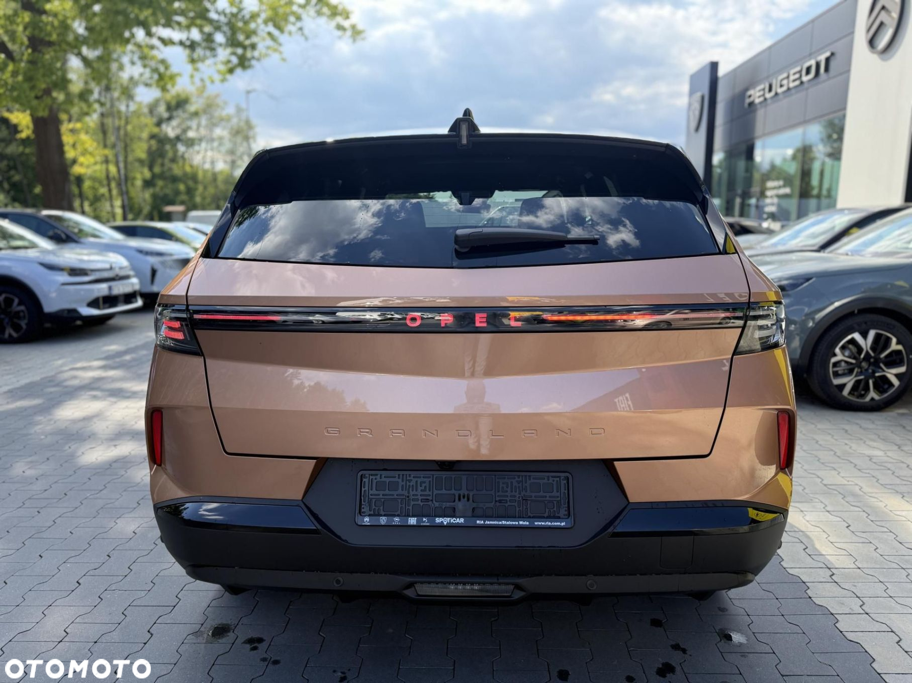 Opel Grandland - 6