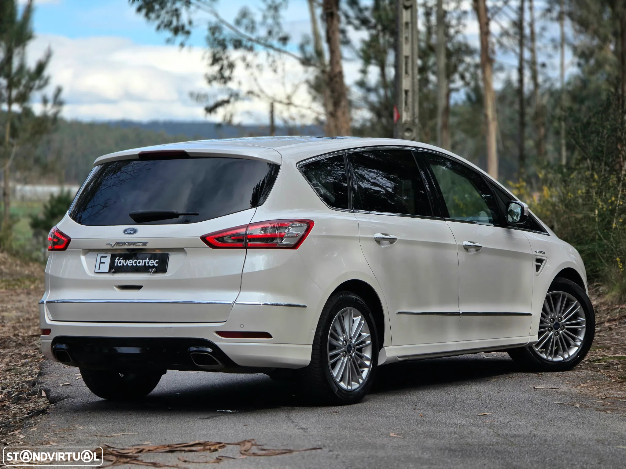 Ford S-Max 2.0 TDCi Vignale Powershift - 19