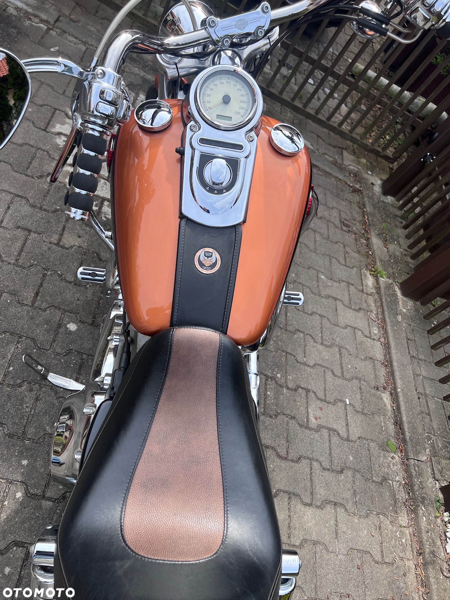 Harley-Davidson Dyna Super Glide - 4