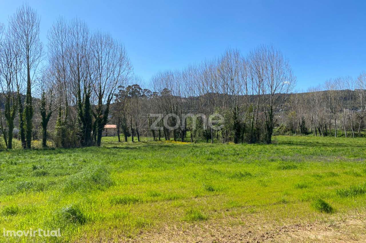 Terreno rústico com 24.914m2 em Briteiros São Salvador, Guimarães - Grande imagem: 4/4