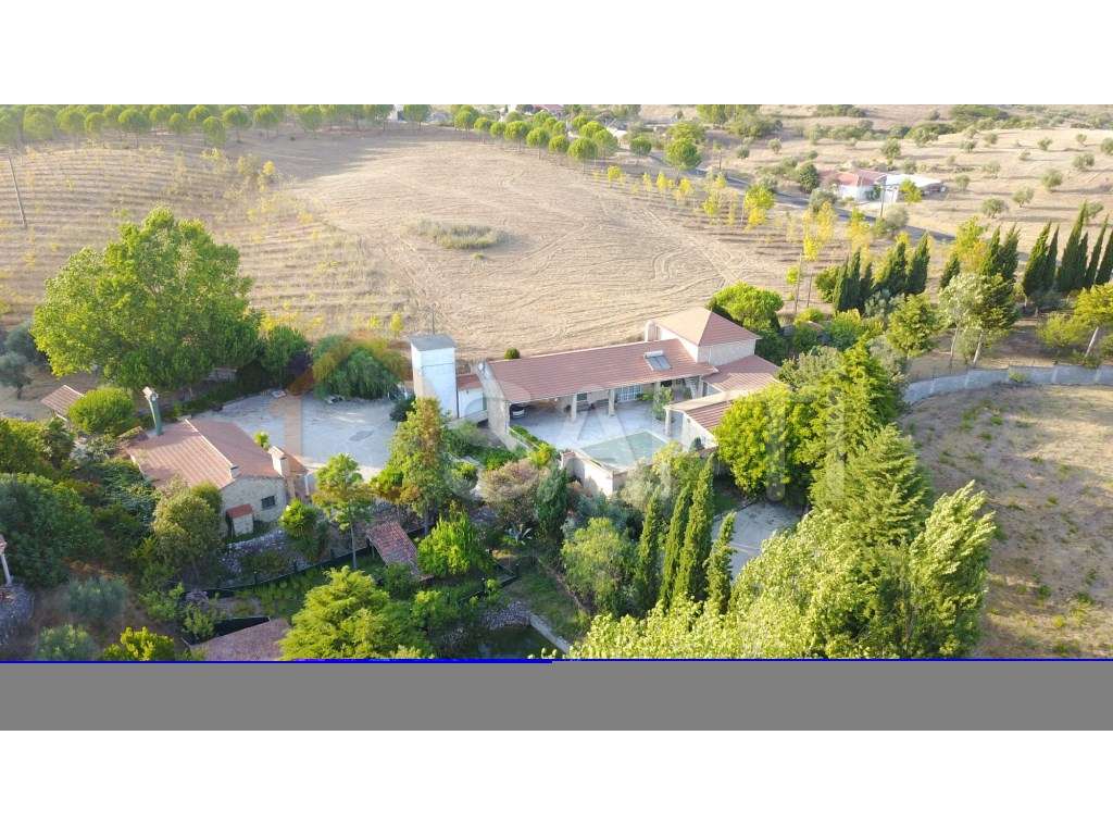 Quinta em Santarém - Grande imagem: 2/47