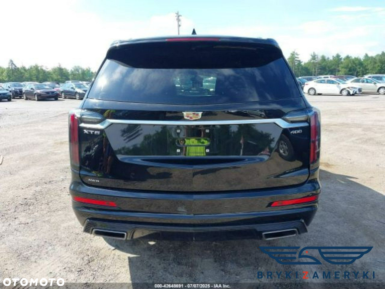 Cadillac Inny - 9