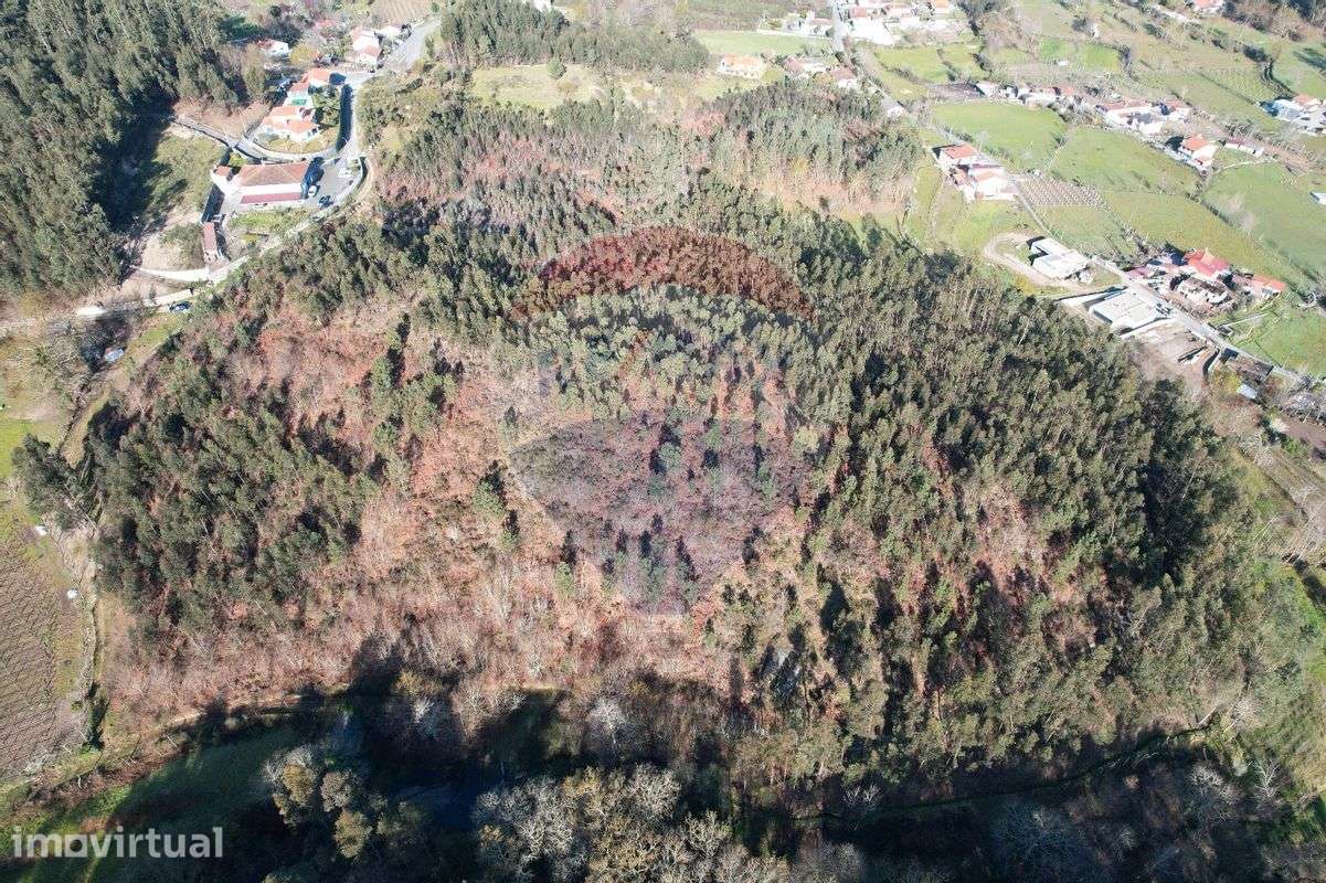 Terreno  para venda - Grande imagem: 2/7